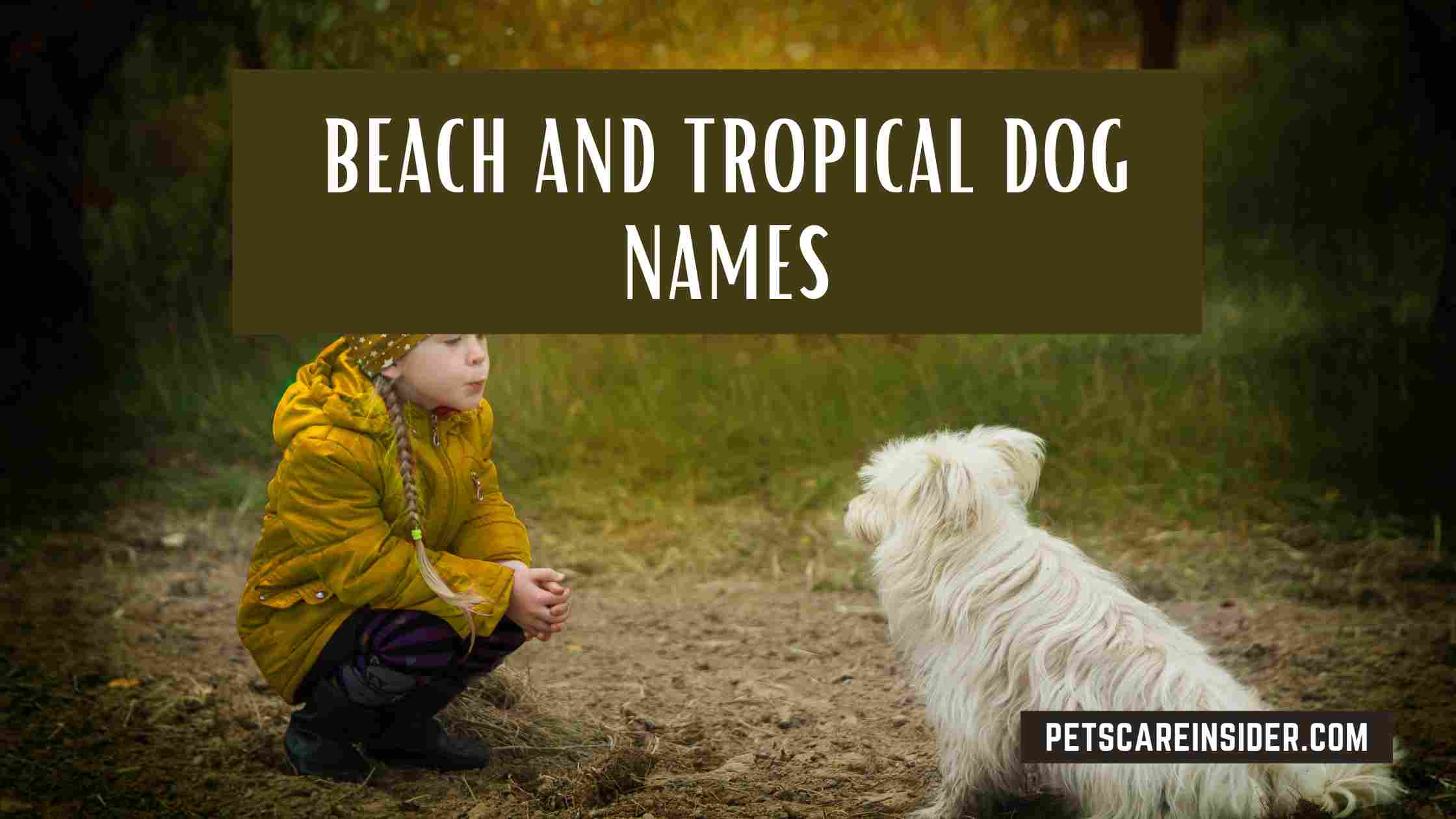 Beach And Tropical Dog Names