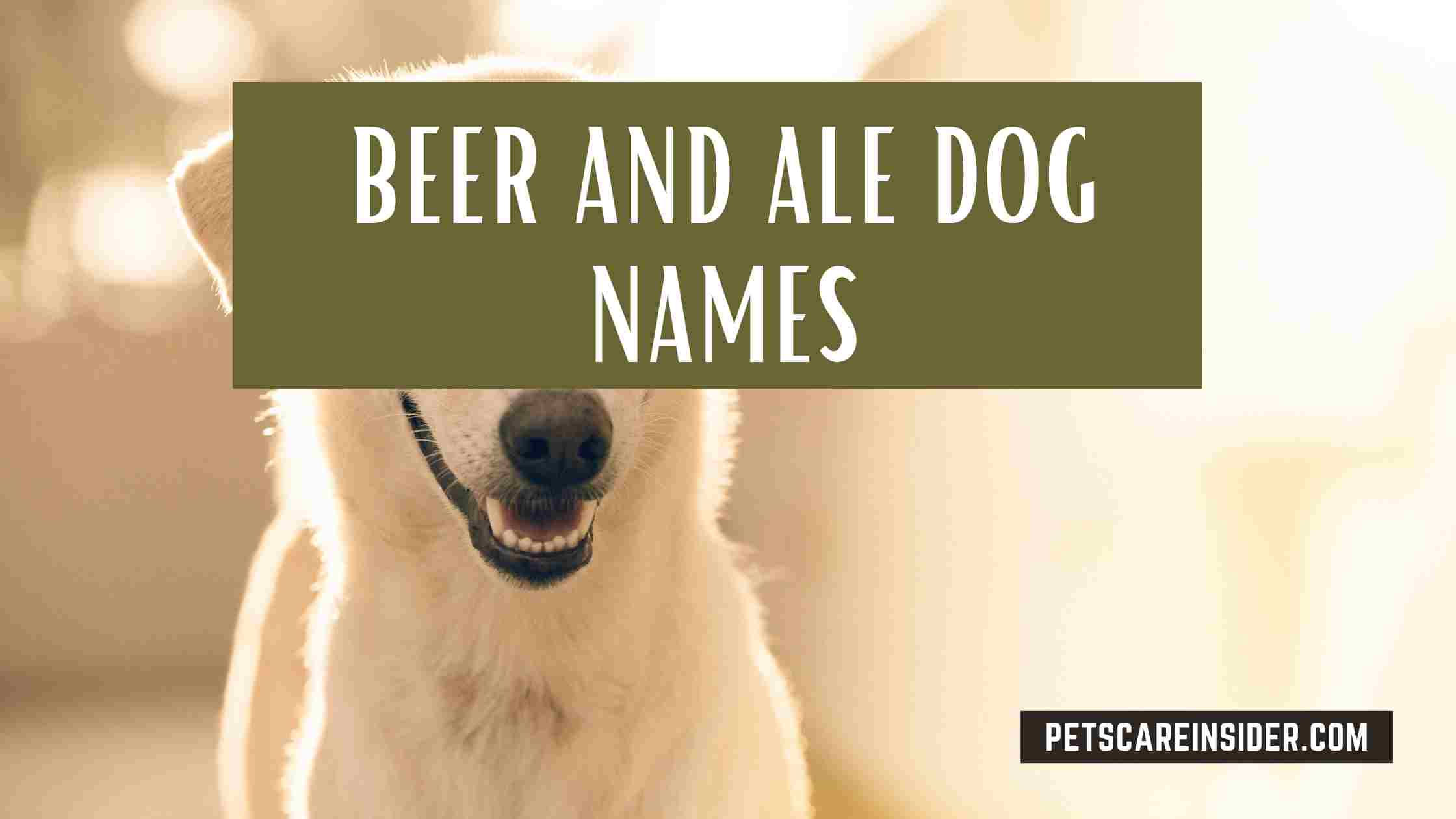 Beer And Ale Dog Names