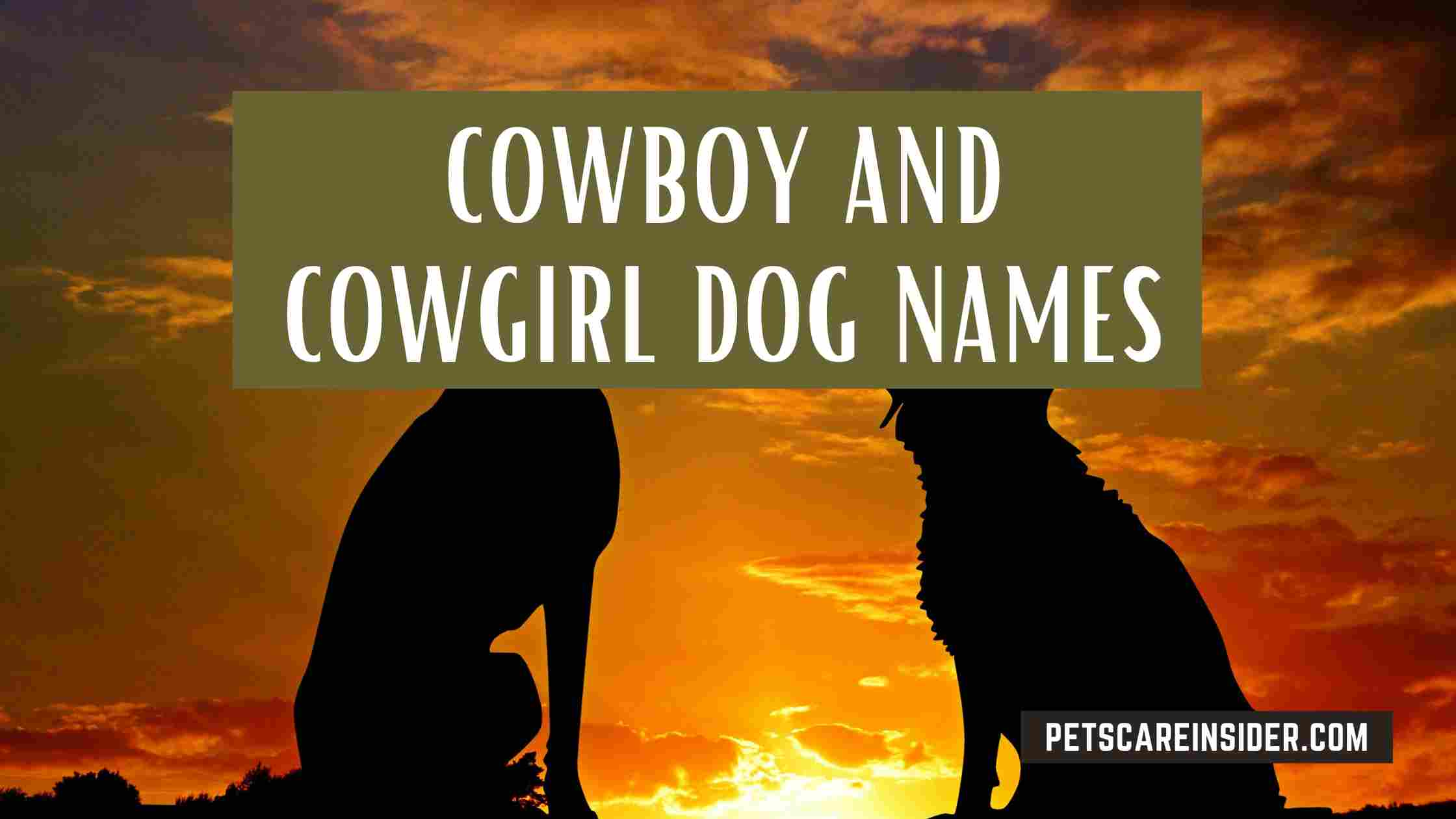 Cowboy And Cowgirl Dog Names