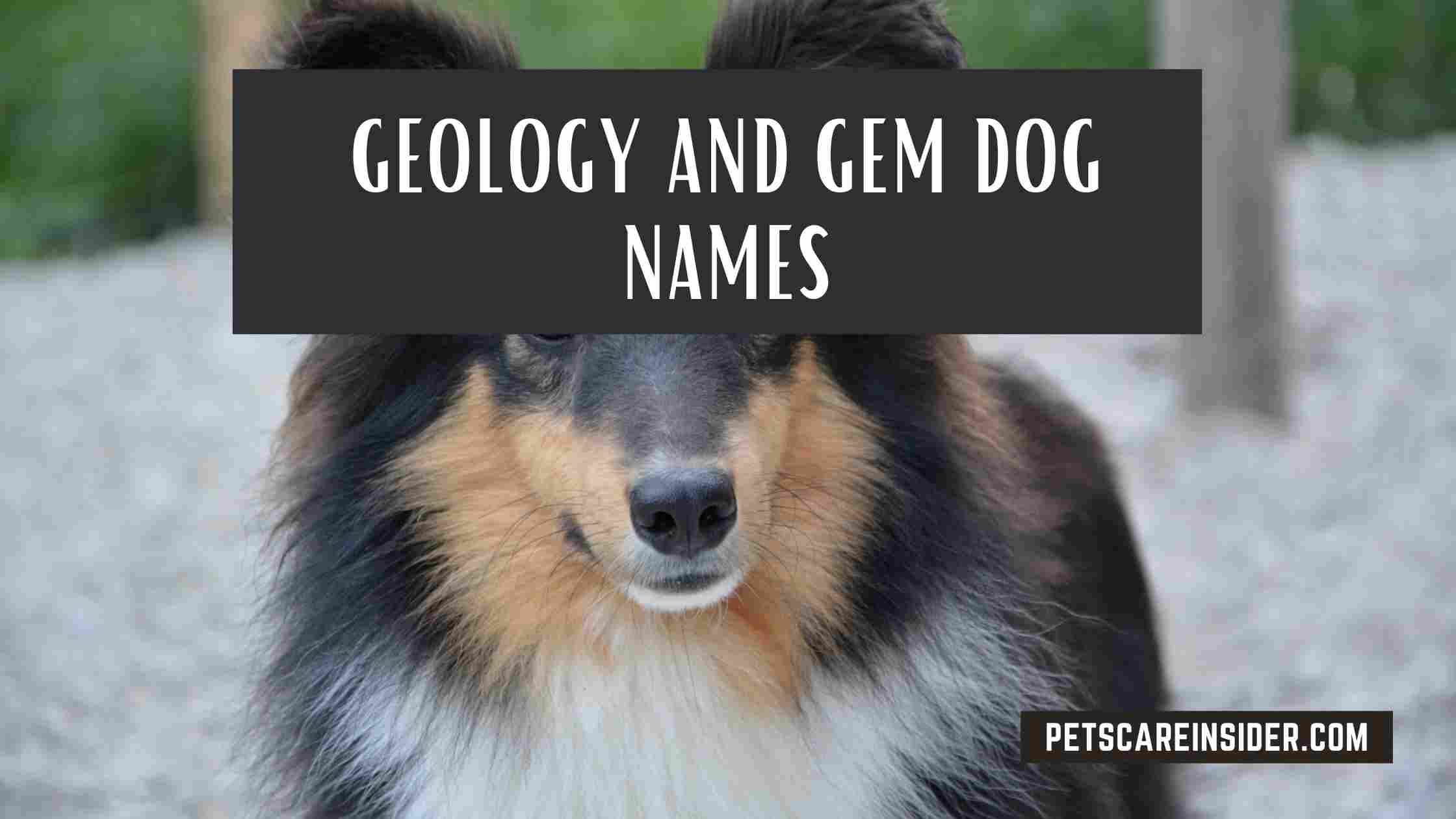 Geology And Gem Dog Names