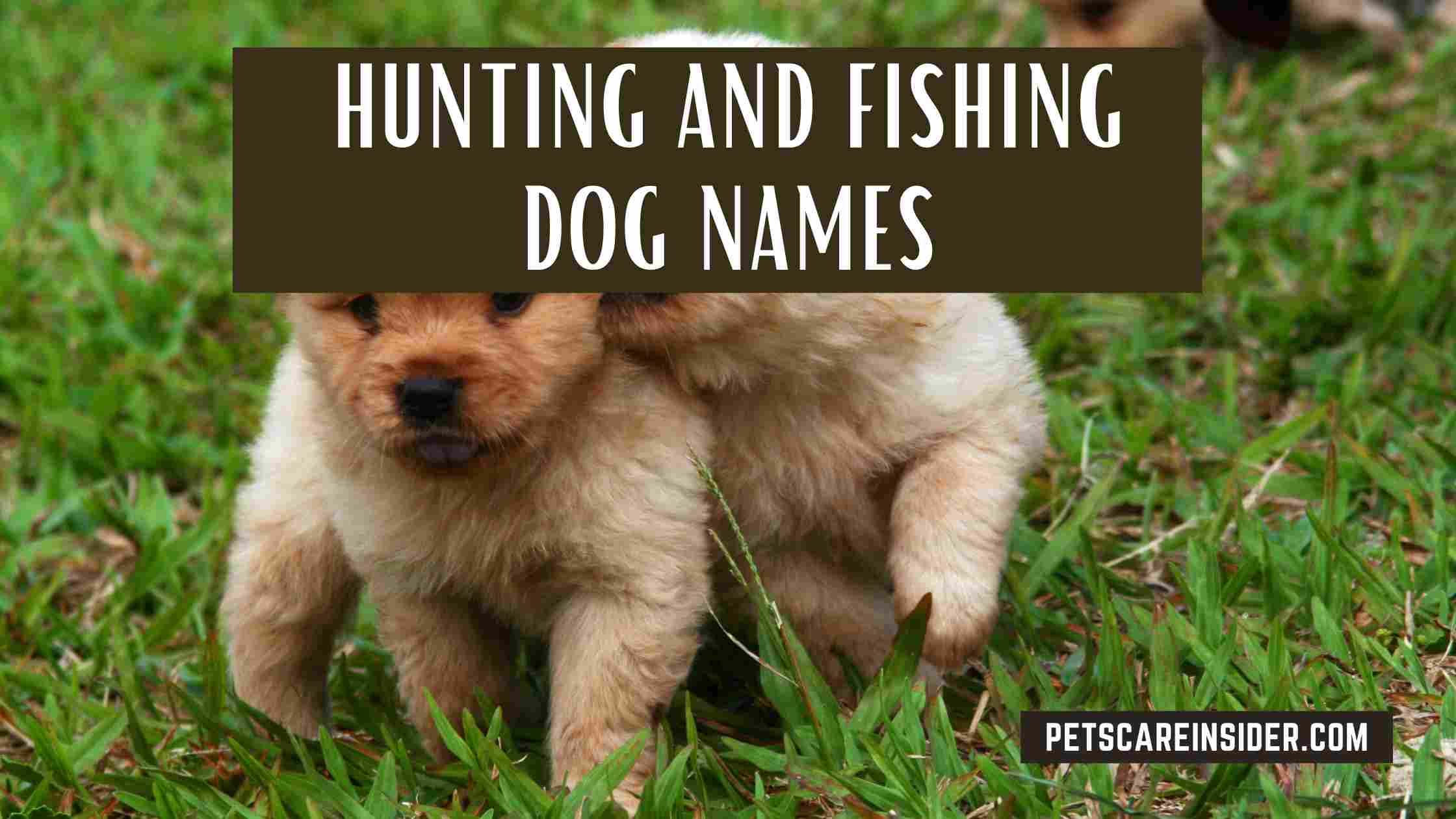 Hunting And Fishing Dog Names