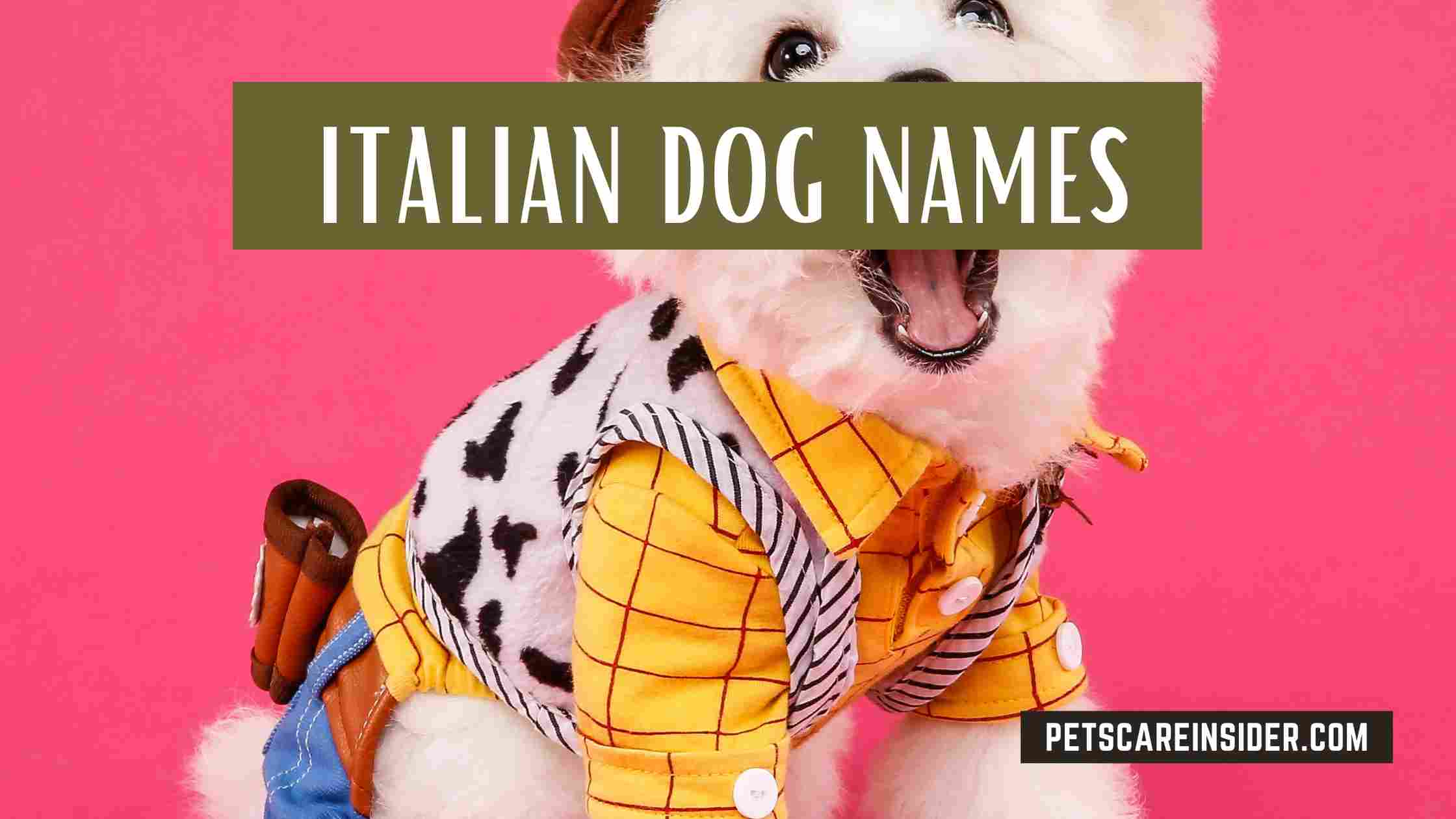 Italian Dog Names