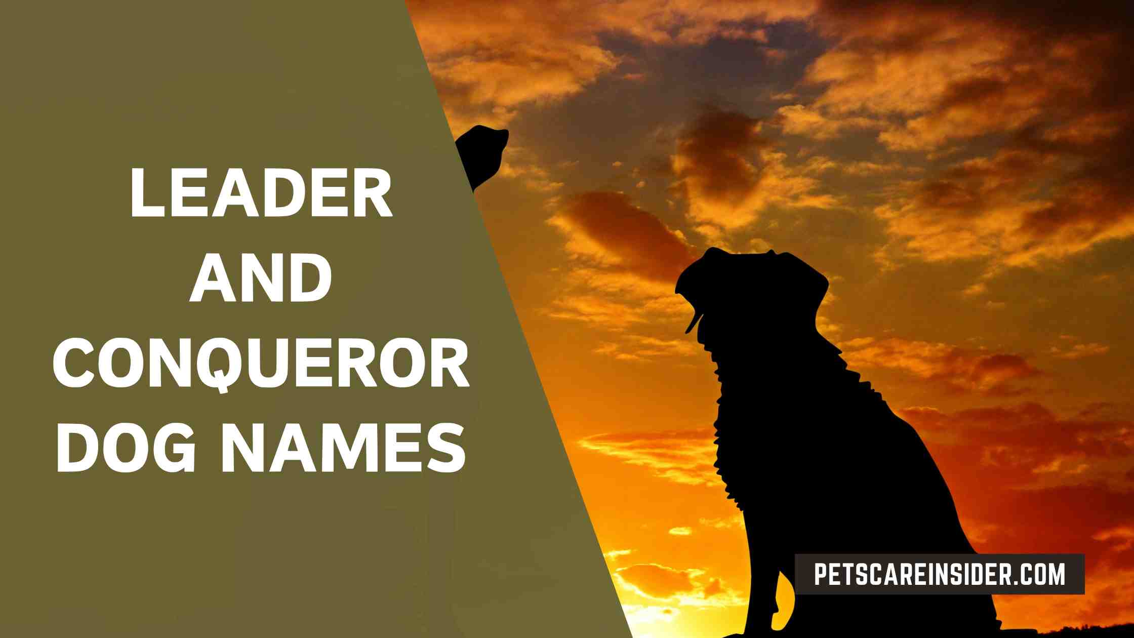 Leader And Conqueror Dog Names