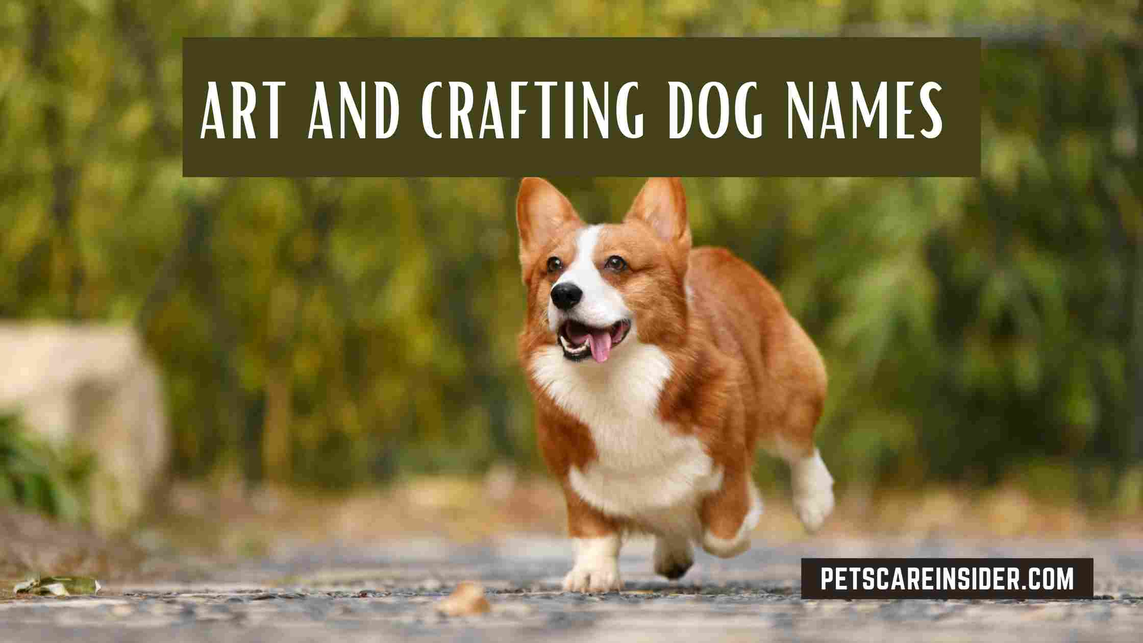 Music And Dance Dog Names