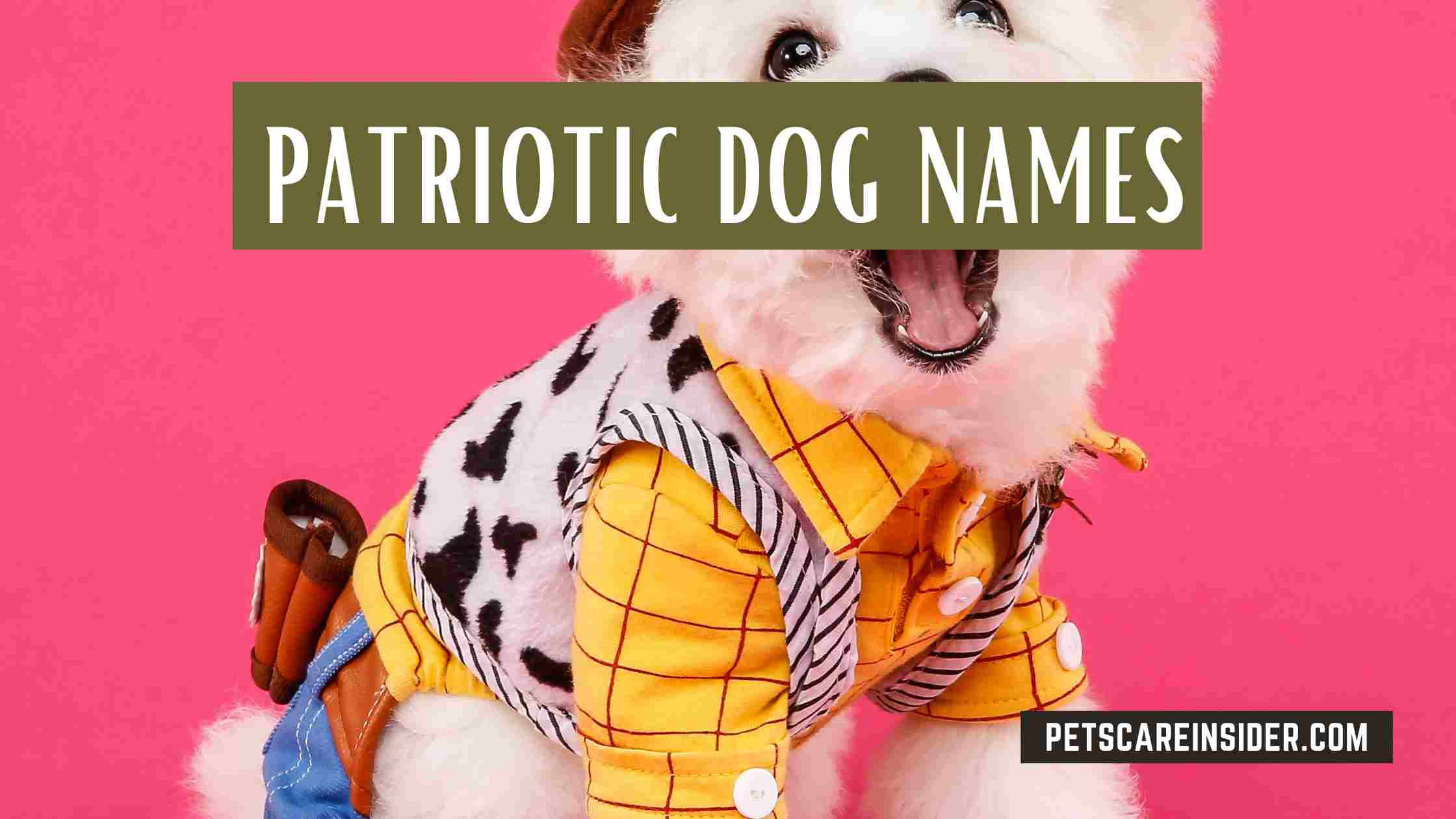 Patriotic Dog Names