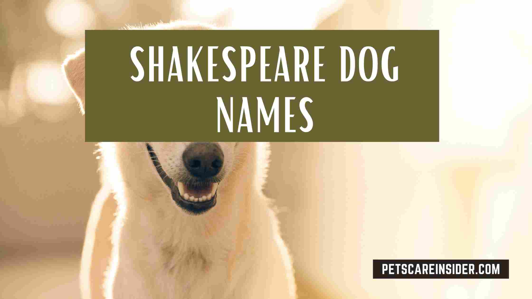 Shakespeare Dog Names