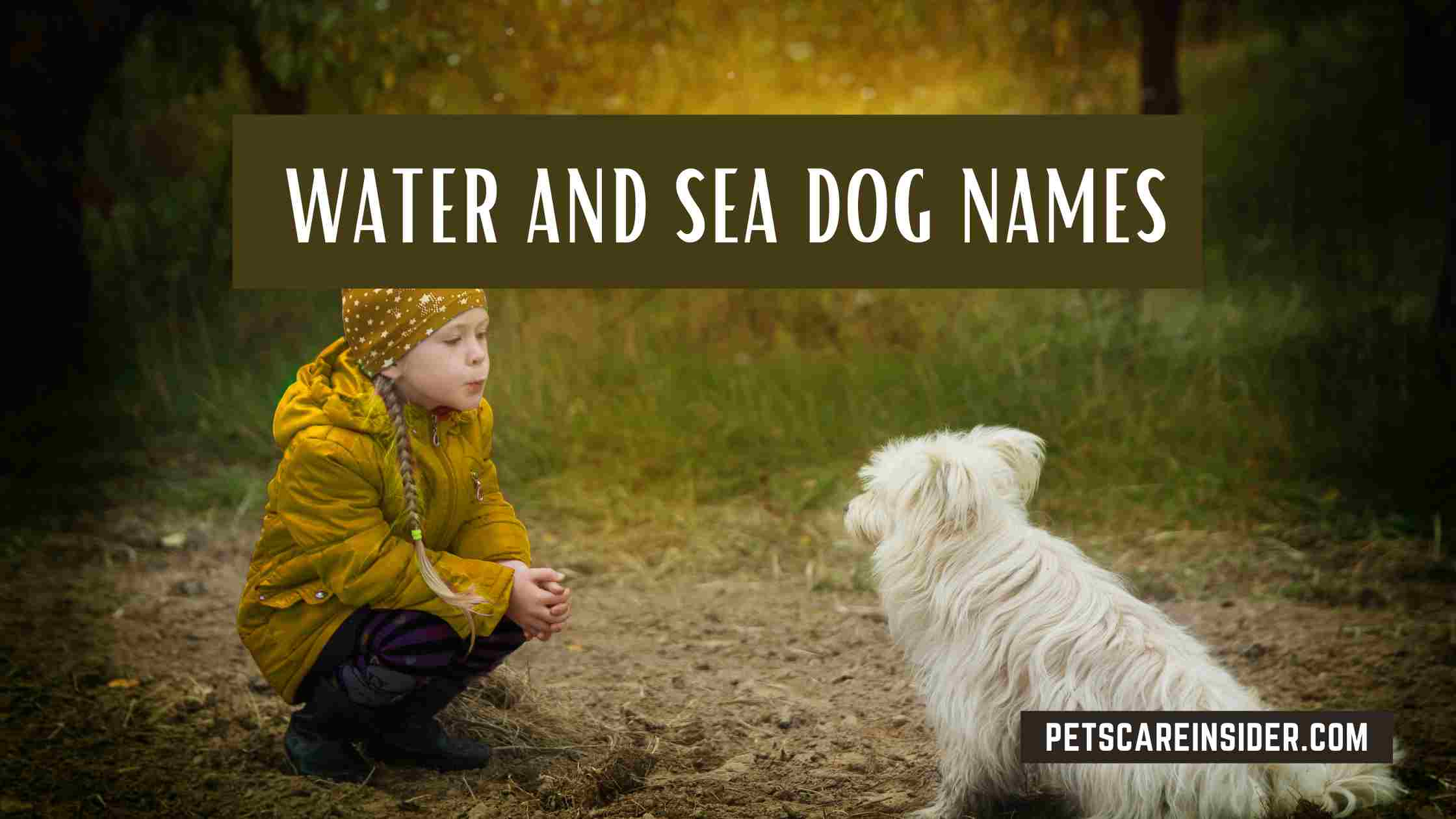 Water And Sea Dog Names