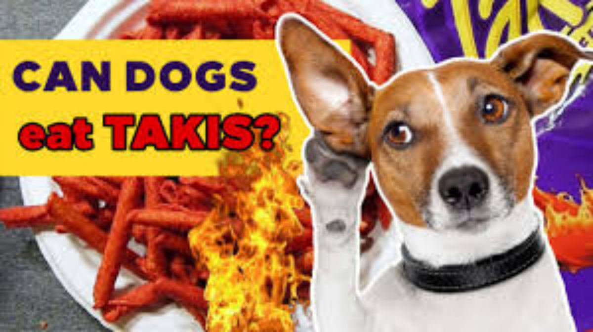 Can Takis Kill Dogs?