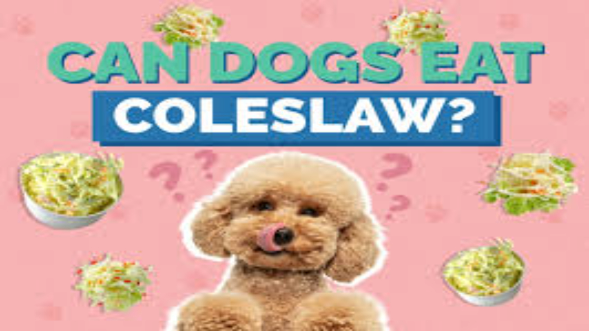 Can dogs eat coleslaw