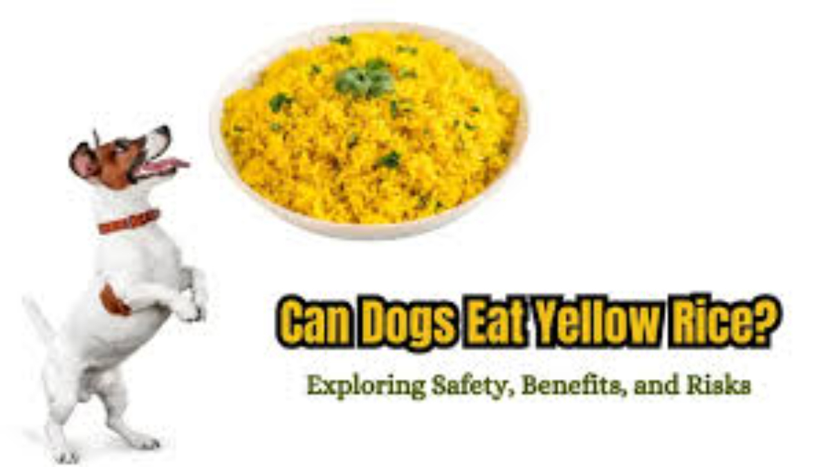 Can dogs eat yellow rice?