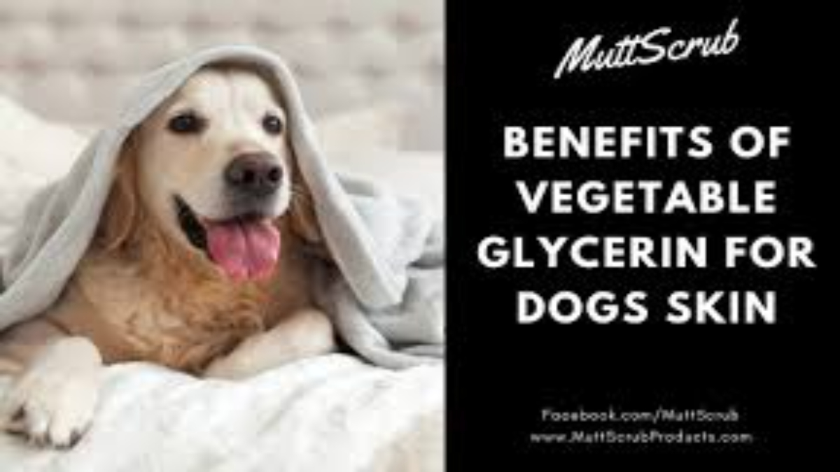 Is vegetable glycerin safe for dogs?