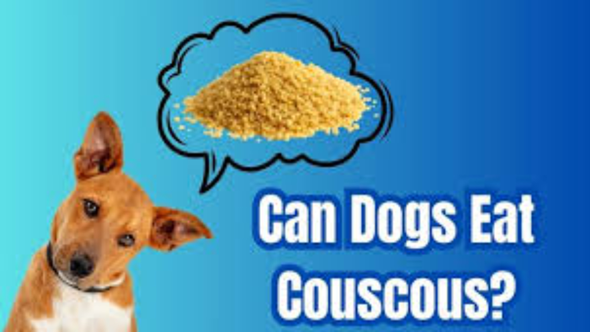 Can Dogs Have Couscous?