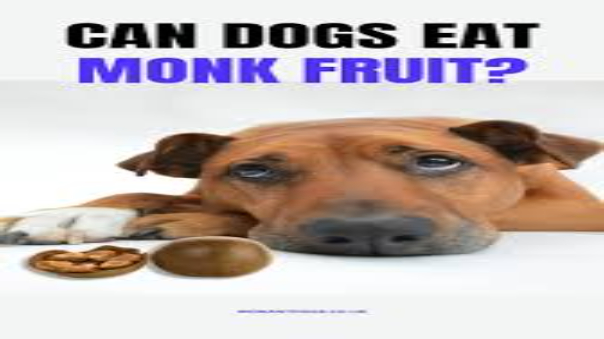 Can dogs have monk fruit?