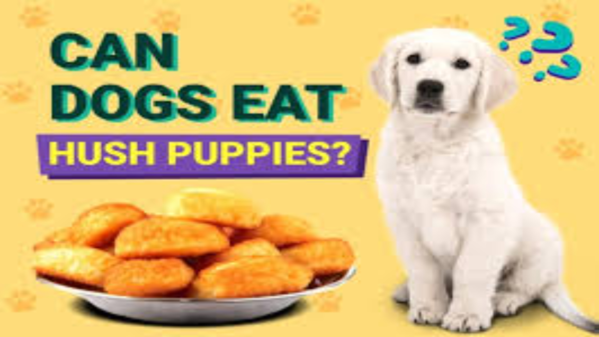 Can Dogs Eat Hush Puppies?