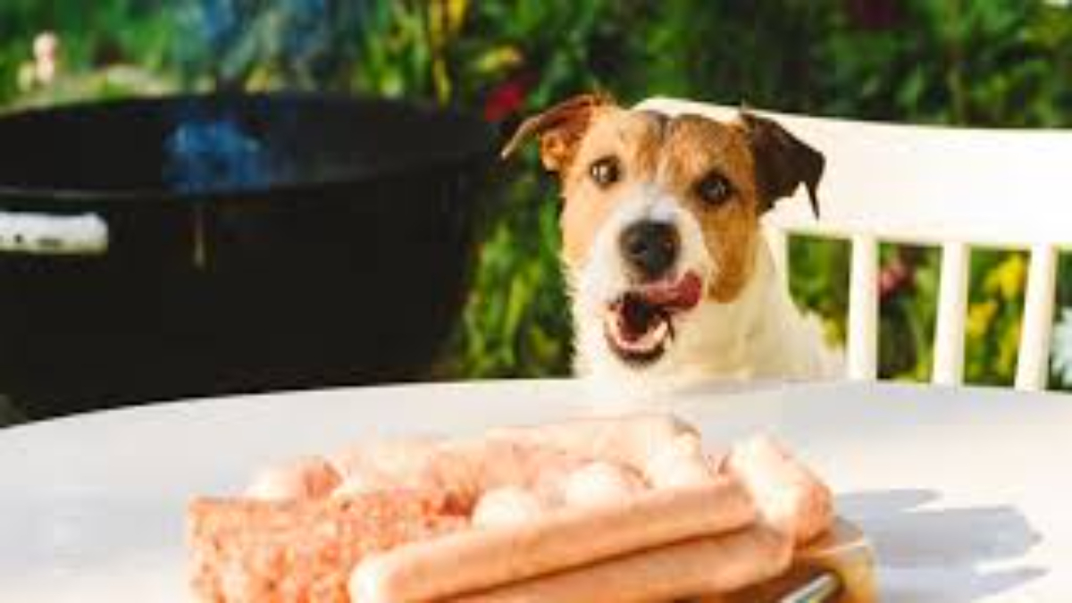 What should I do if my dog ate corned beef?