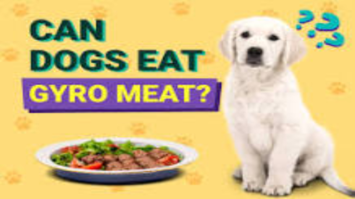 Can Dogs Eat Gyro Meat?