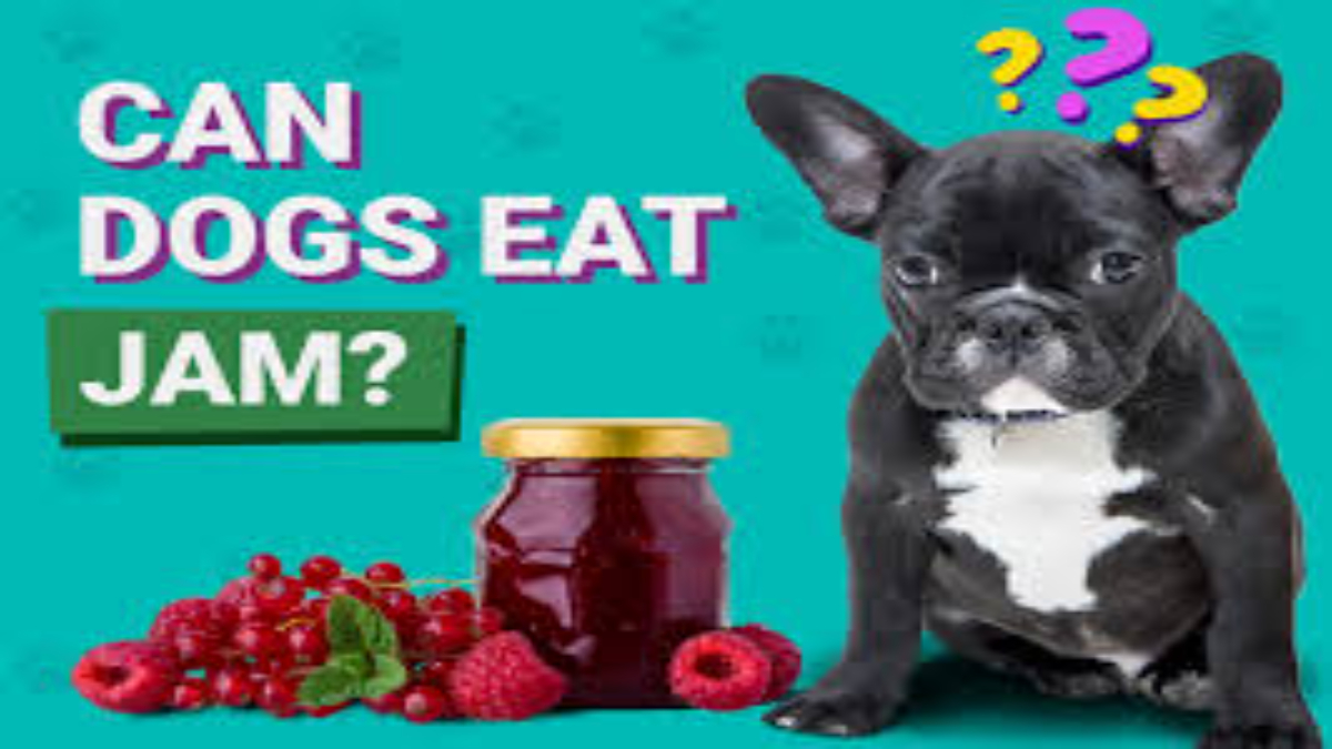 Can dogs eat jam?