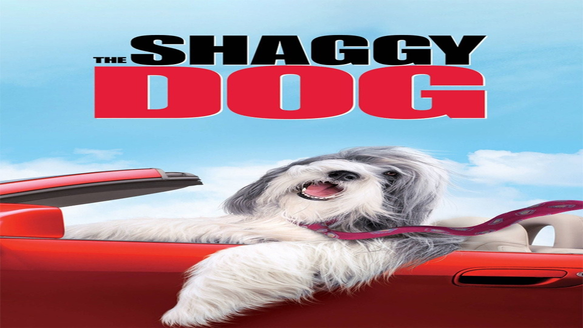 A Shaggy Dog story is a long one