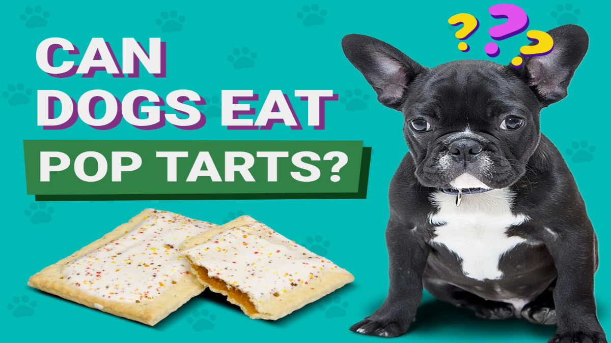 Can dogs eat pop tarts?