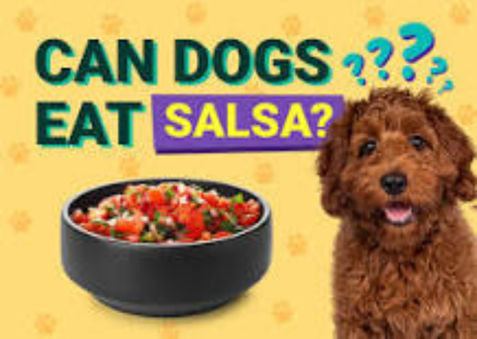 Can Dogs Eat Salsa?