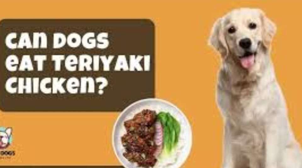 Can dogs eat teriyaki chicken?