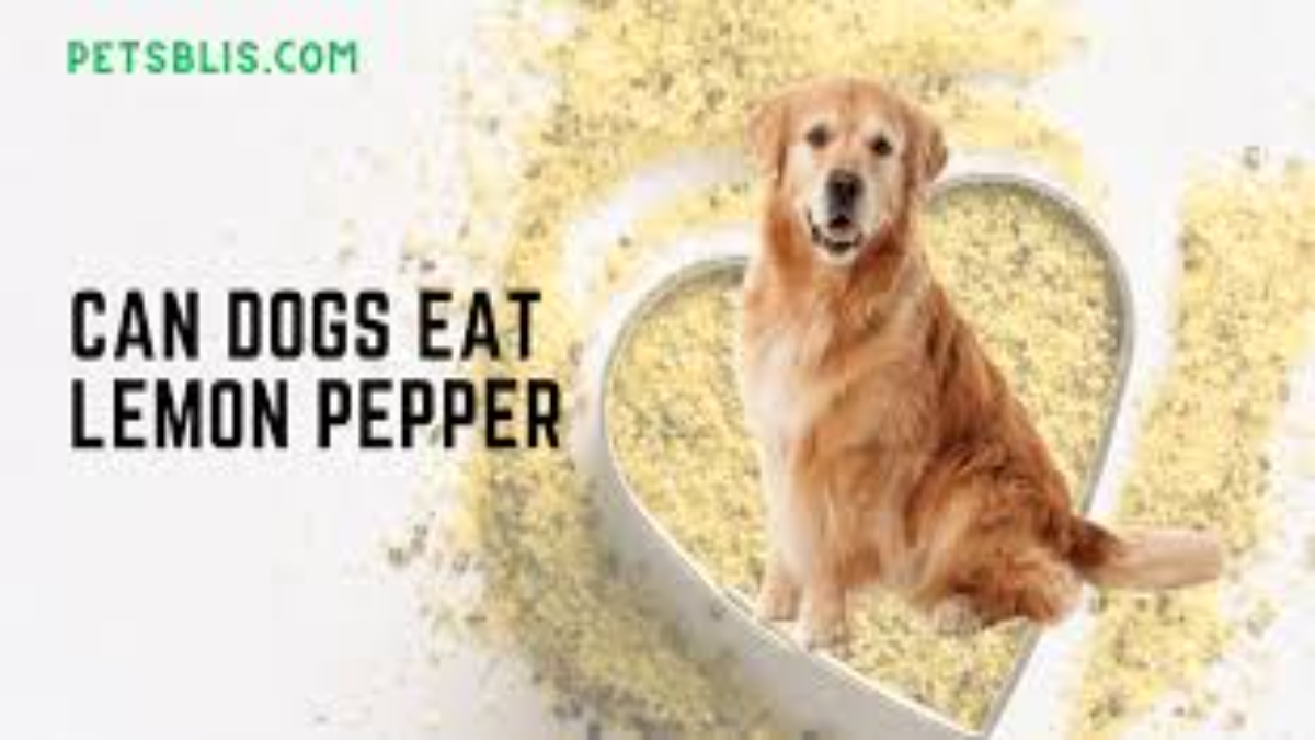 Can dogs eat lemon pepper?