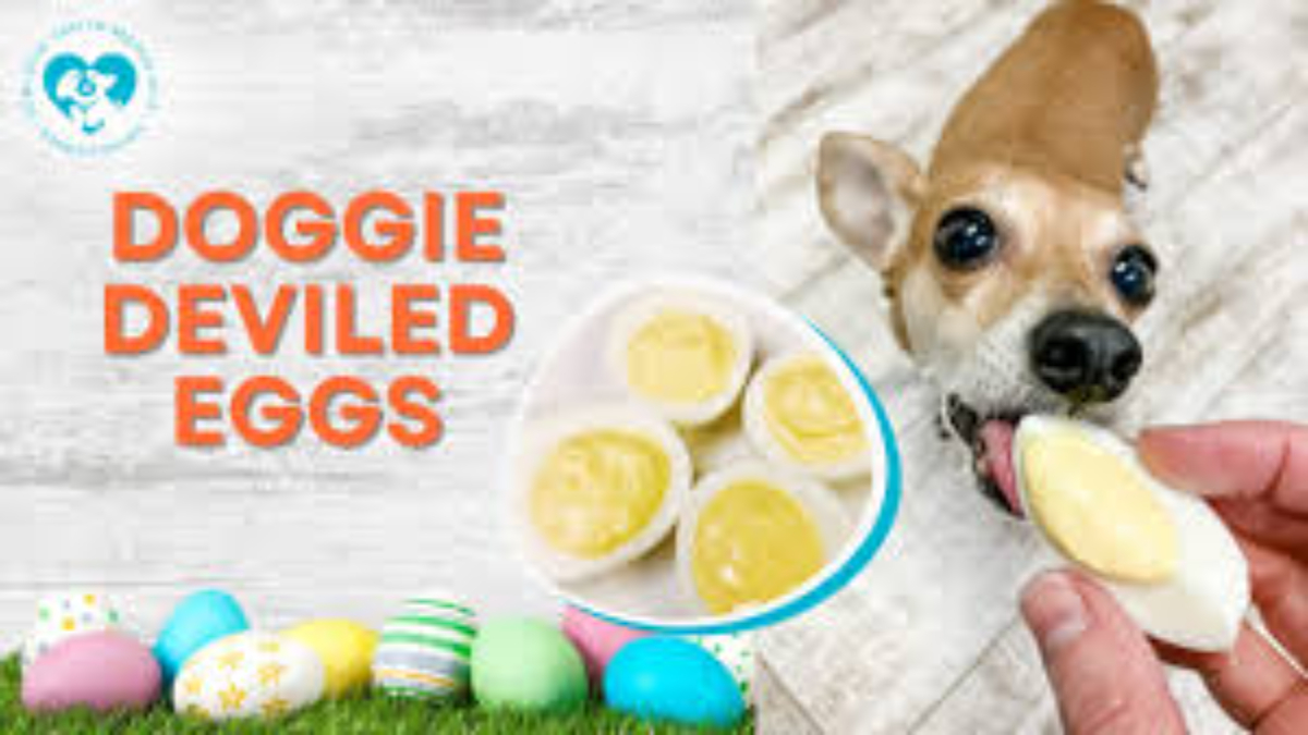 Can Dogs Have Deviled Eggs?