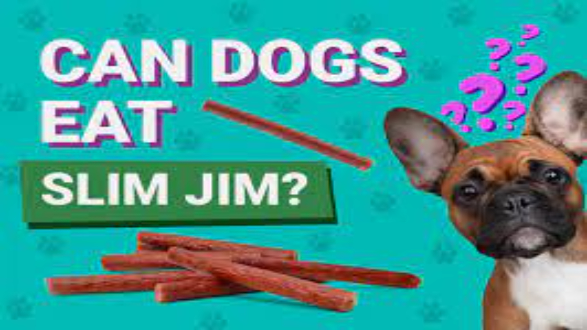 Slim Jims lethal for dogs?