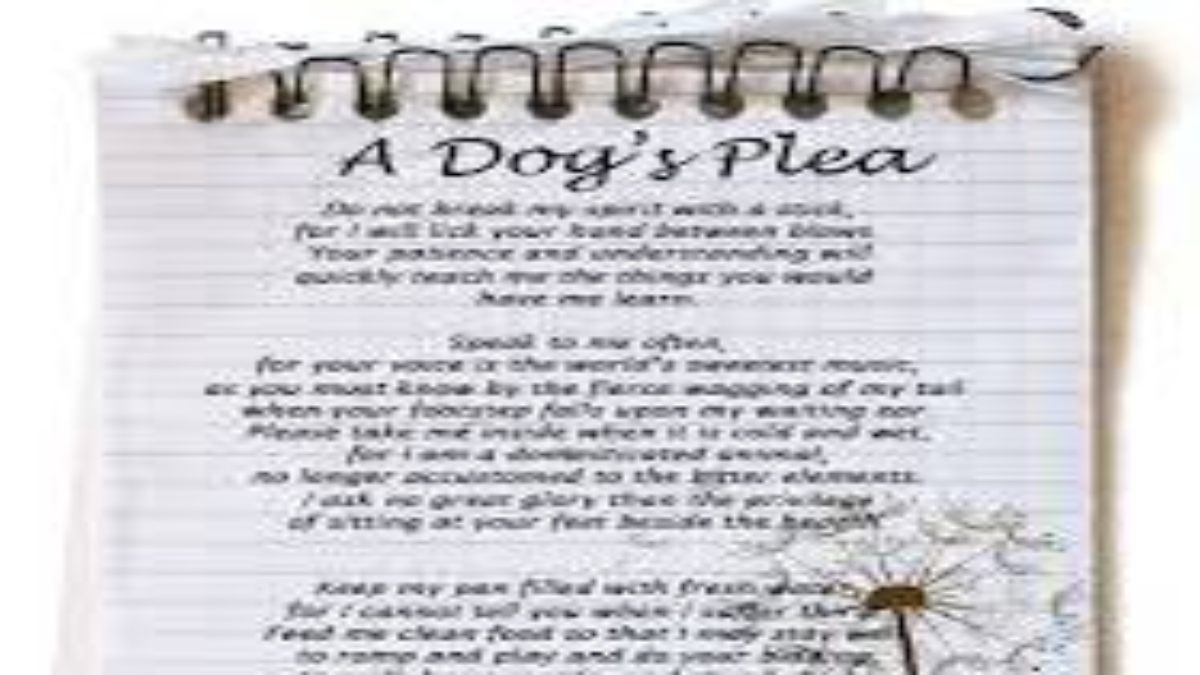  A Dog's Plea Poem