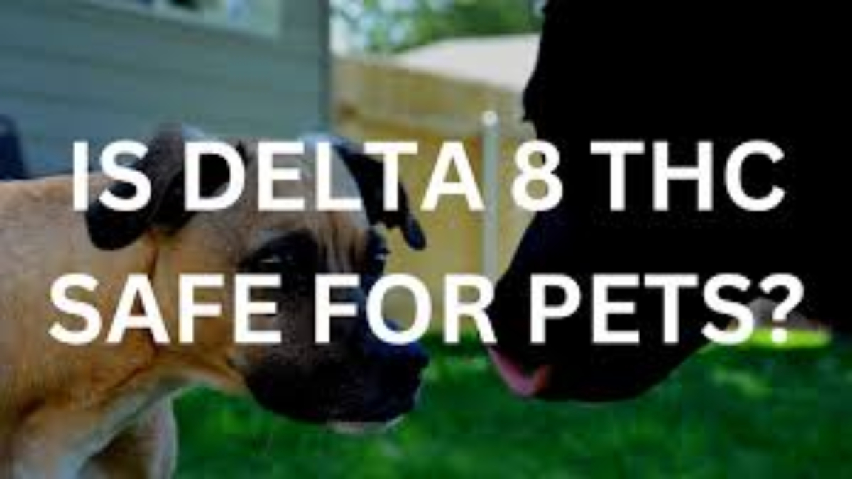 Can Drug Dogs Smell Delta-8 THC? 