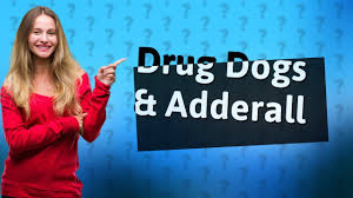 Can drug dogs detect Adderall?