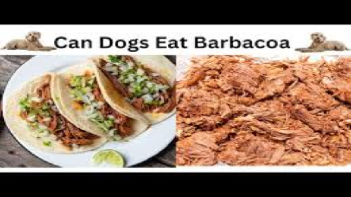 Is Barbacoa Safe for Dogs?