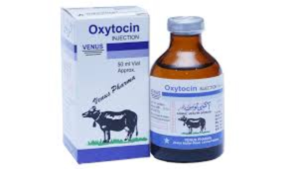 Where can I buy oxytocin for dogs?