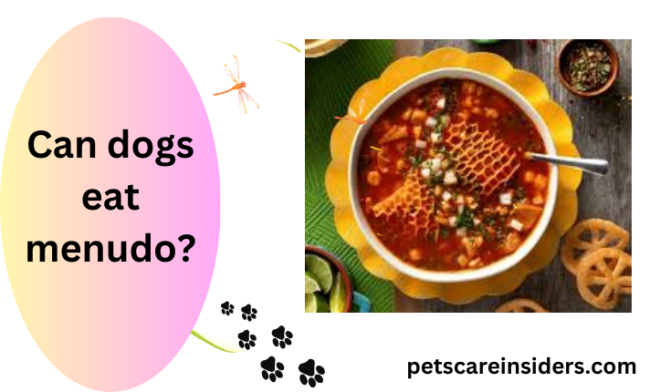 Can dogs eat menudo?