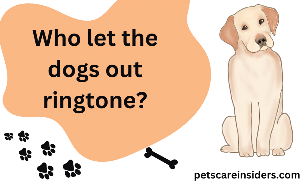 Who let the dogs out ringtone?