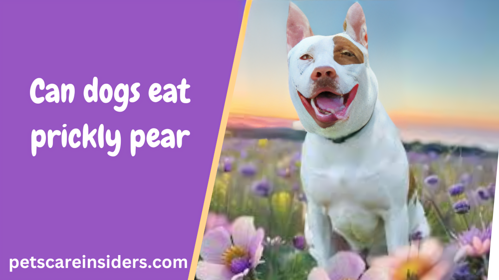 Can dogs eat prickly pear?