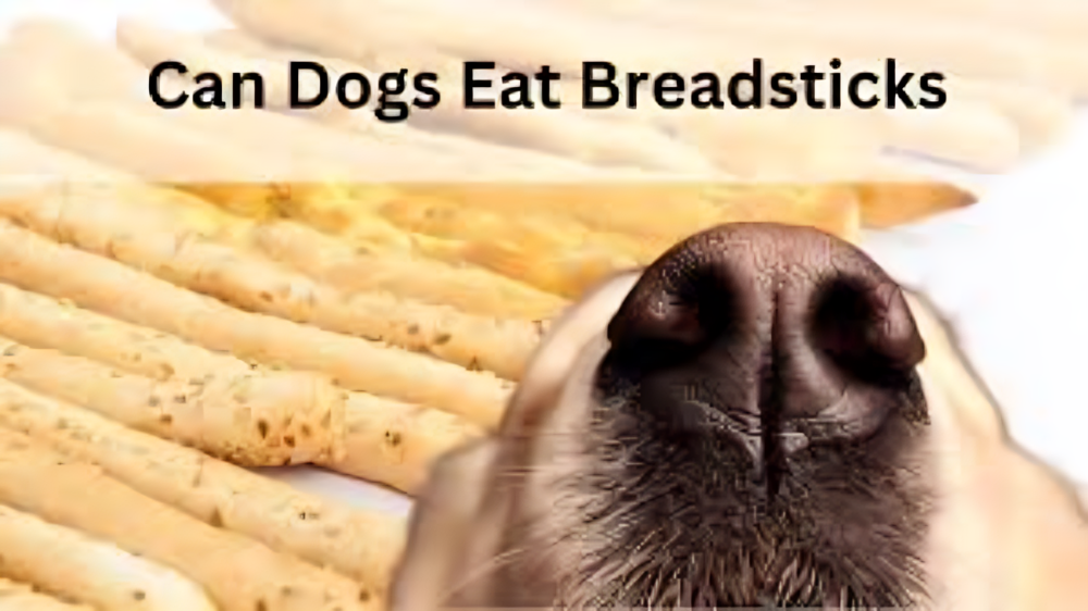 Can dogs eat Breadsticks?