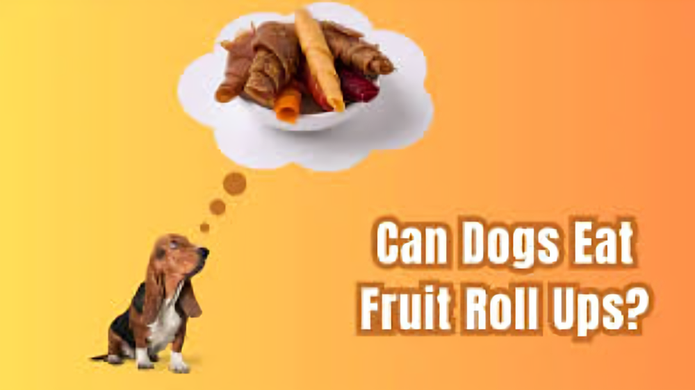 Can dogs eat fruit rollups?