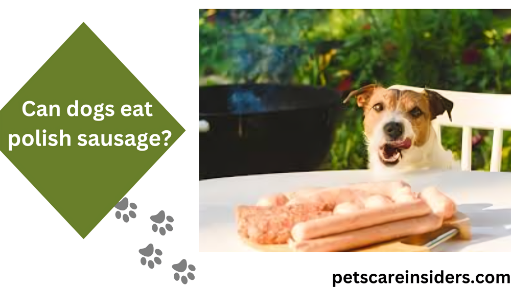 Can dogs eat polish sausage?