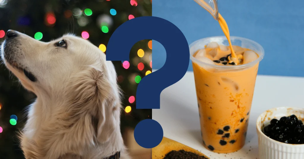 Veterinarians' Advice on Feeding Boba to Dogs