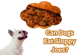 Can dogs eat sloppy joes?