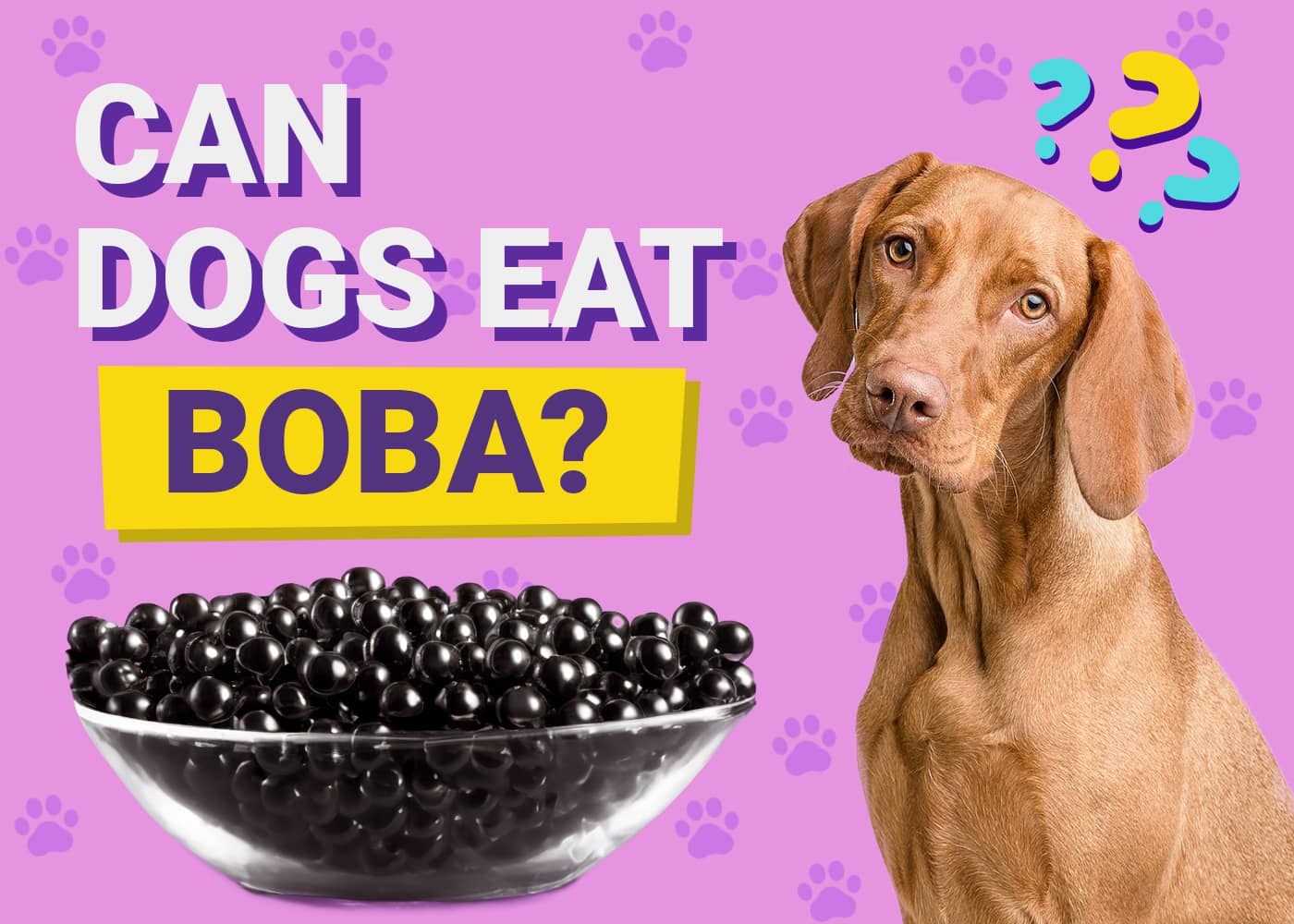 can-dogs-eat-boba