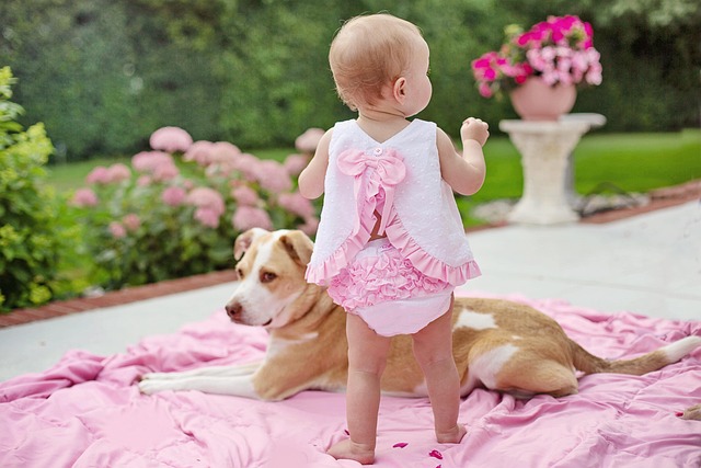 Is Baby Food a Good Option for Dogs