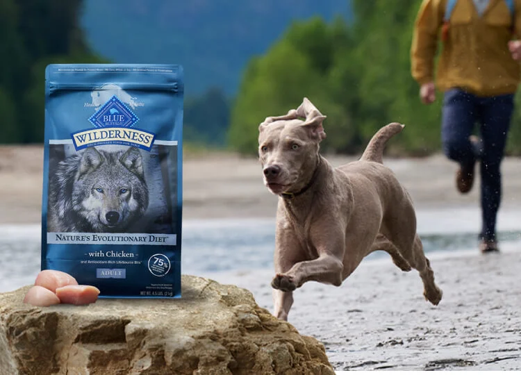 Is Blue Wilderness a Good Dog Food