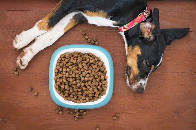 Nutrish Dog Food
