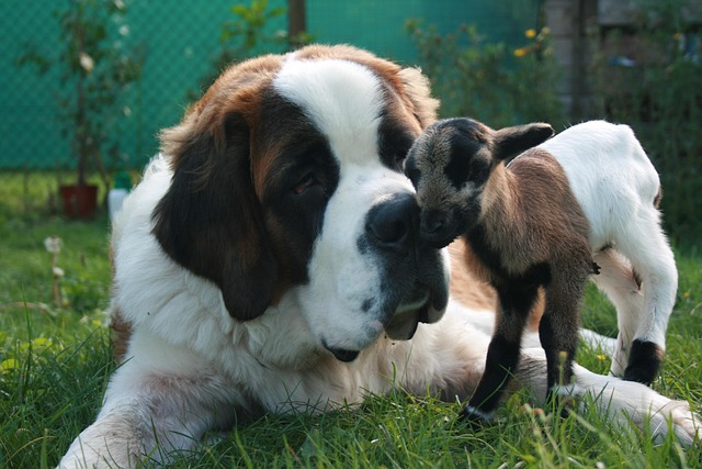 St. Bernard Health