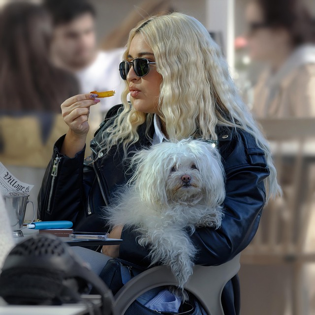 Dog Go Without Water and Food