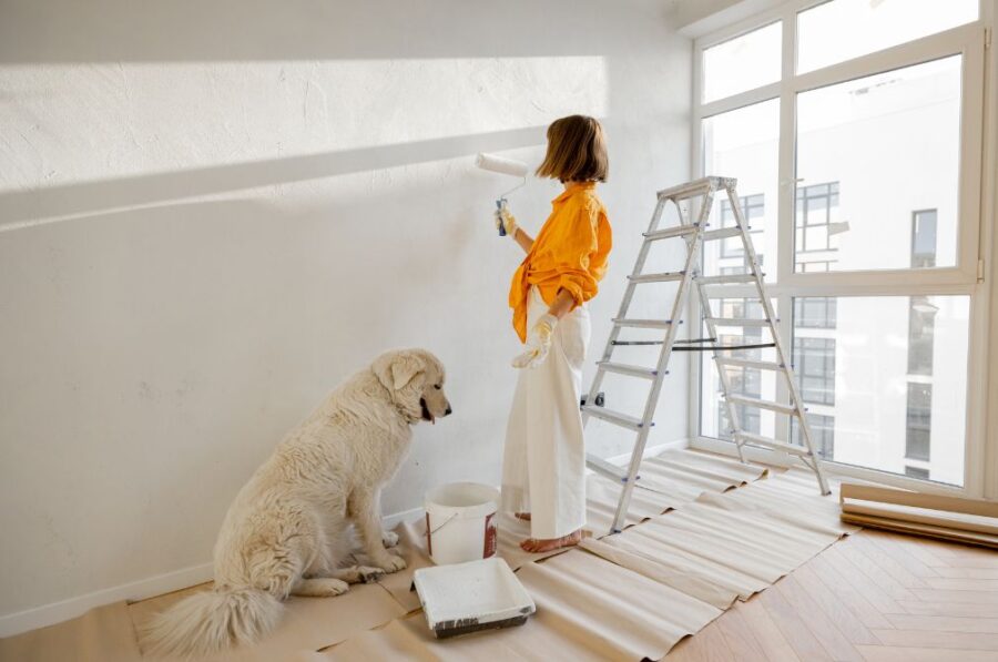 Risks of Paint Fumes for Dogs