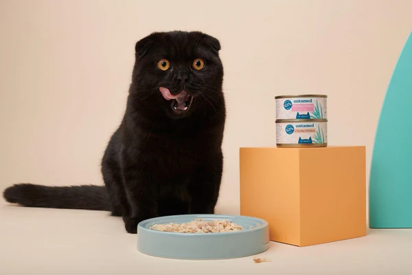 What Do Bombay Cats Eat