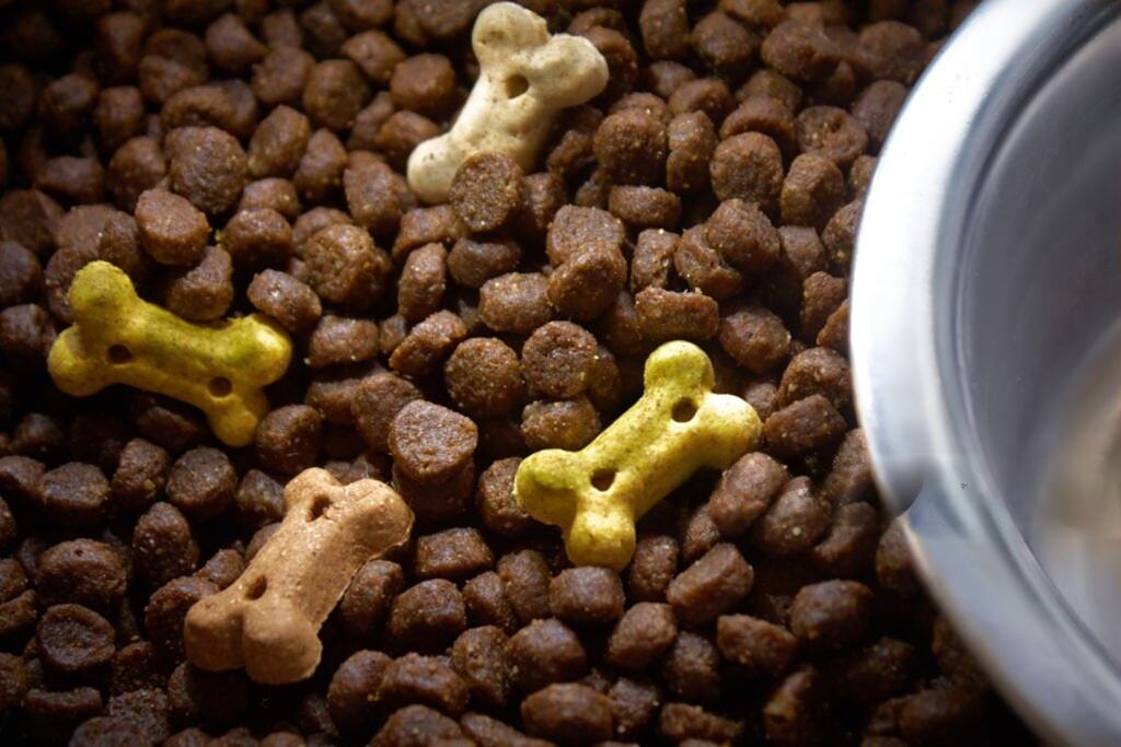 Zignature Dog Food